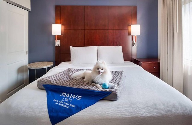 Stay Near Huntington Beach Pier! w/ Outdoor Pool, Private Parking & Pets Allowed