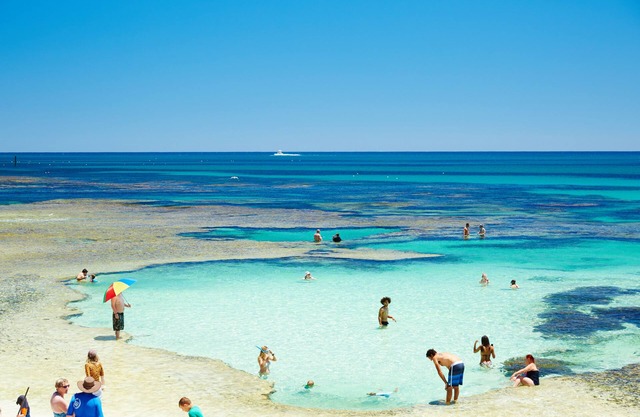 Stay Rottnest