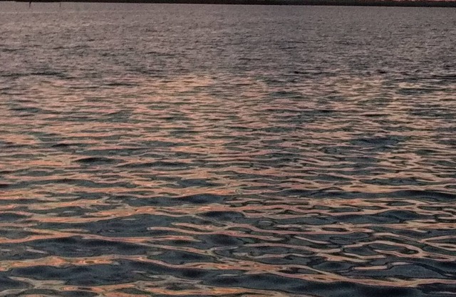 Steps to the Manatee River