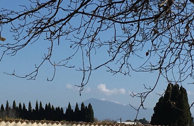 Stone MAS on the wine route
