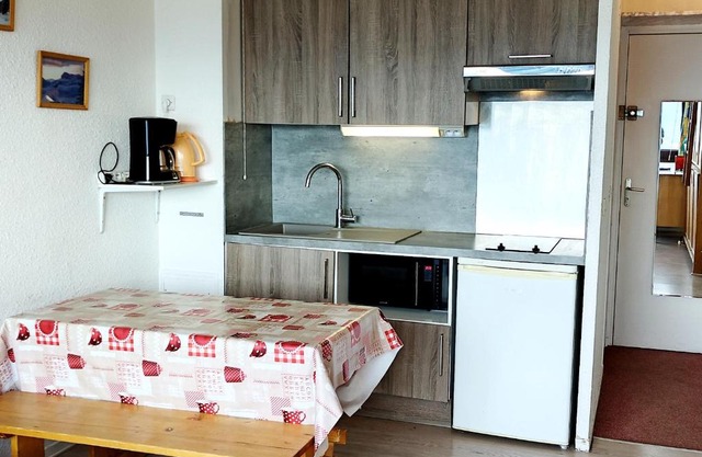 Studio au pied des pistes avec TV et animaux admis - FR-1-771-2
