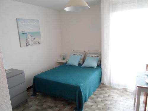 Studio climatisé, proche Thermes, animaux admis - FR-1-503-87