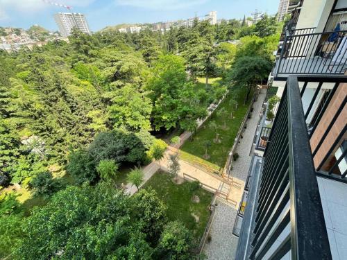 Studio with Kikvidze Park view