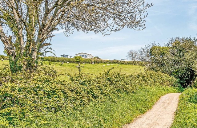 Stunning lodge with one double with en suite walk in shower and two twin.