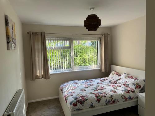 Stylish 1-bedroom Apartment