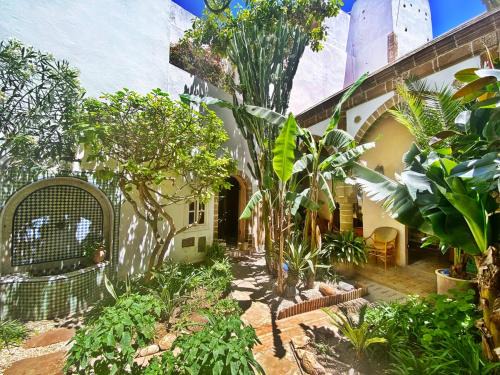 Sublime Riad d'artiste au coeur de la médina d'Essaouira
