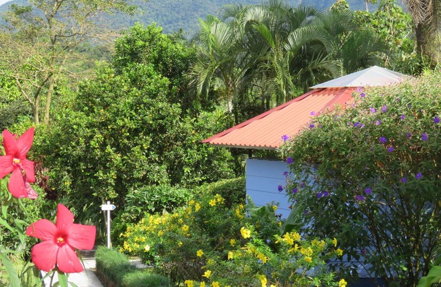 Sueño Río Celeste B&B