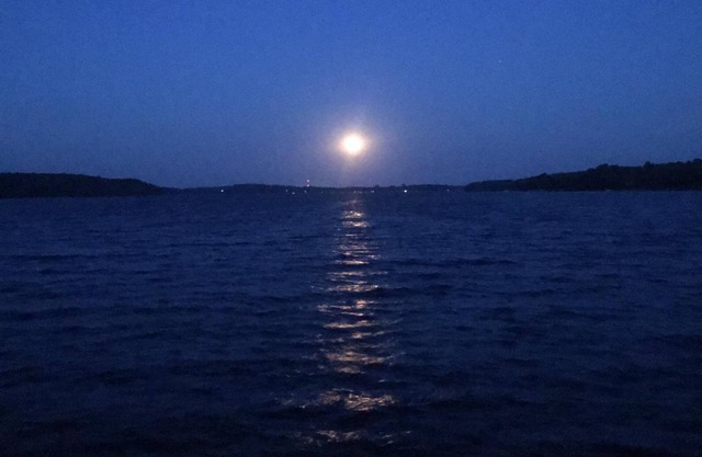 Summer on Rose Lake, Frazee MN