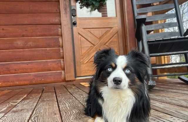 SUMMER SPECIAL~Pet Friendly~ MTN.Views~ Hot tub-Cabin~Fast WIFI-Families~Games~