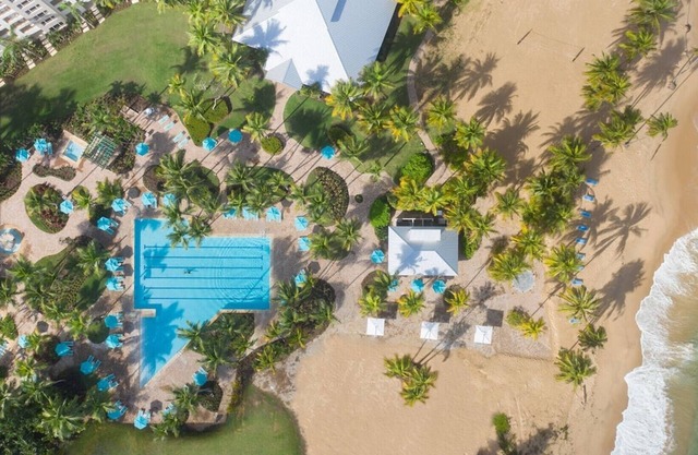 Sunny Condo, and Pool Opens to Beach Beyond