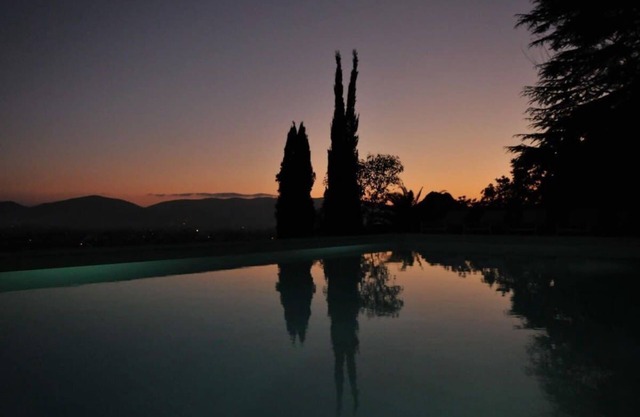 Sunny Hill Villa surrounded by Mediterranean Trees