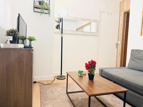 SUPERBE APPARTEMENT 2 PIÈCES AVEC GRANDE TERRASSE