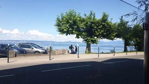 Superbe f1 en bord du lac