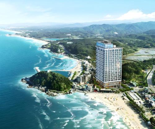 Surf Resort Jukdo Alive