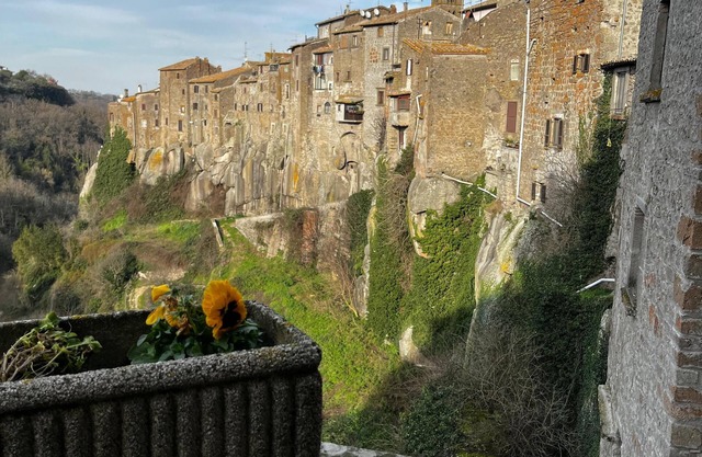 Suspended in the village