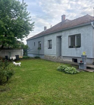 Sweet home Jagodina