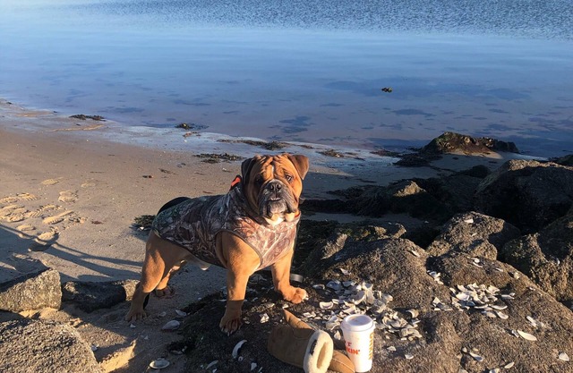 Swift Beach-beach house sleeps 8 Walking distance to the beach Wareham, MA