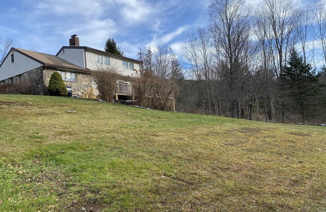 Swimming pond, fire pit, pool table, hiking trails, close to Belleayre, views!