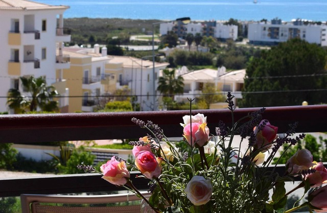T1 Marina Park Vista Mar, sea view, large balcony, wifi, pool + aircon
