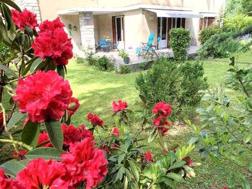 T3 dans villa "Les Douglas"
