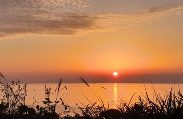 Taean Bohemia Village Pension