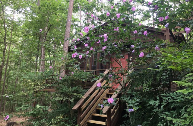 Tale of the trout cabin located 1 mile from the trout stream and Lake
