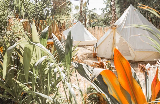 Tent 1 · Cien Palmas - Glamping Tent 1 - Downtown