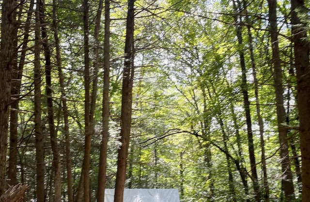 Tentrr Signature Site - Secluded Streamside Camp 90 miles from NYC