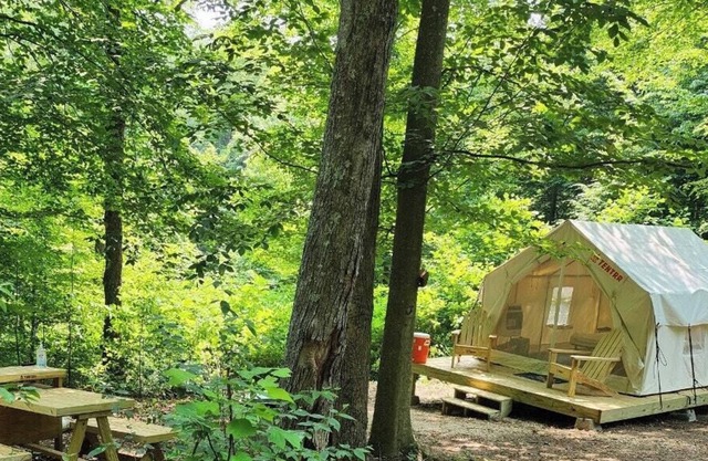 Tentrr Signature Site - Lazy Ferret Glamping - Camp Bobcat