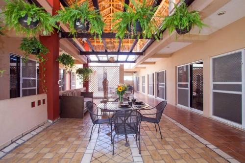 Terraza Studios