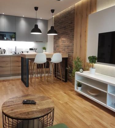 Tesla 3 Apartment