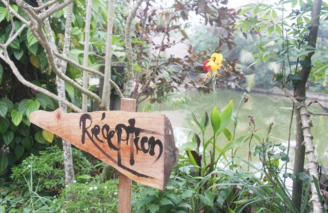 Thai Binh Garden