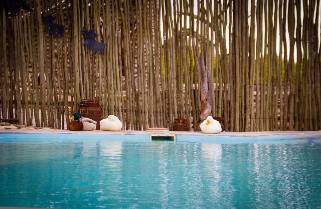 Thali Thali Game Lodge