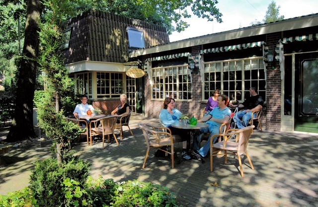 Thatched lodge with AC and a dishwasher, in green Twente