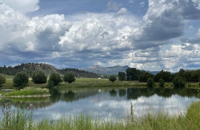 The Adobe - remodeled historical adobe cabin on a high country working ranch.