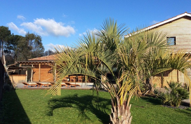 The apricot tree: Villa, driftwood, heated pool