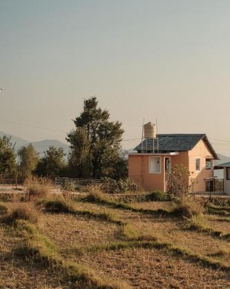 The Attic Library by AVVAs Stays