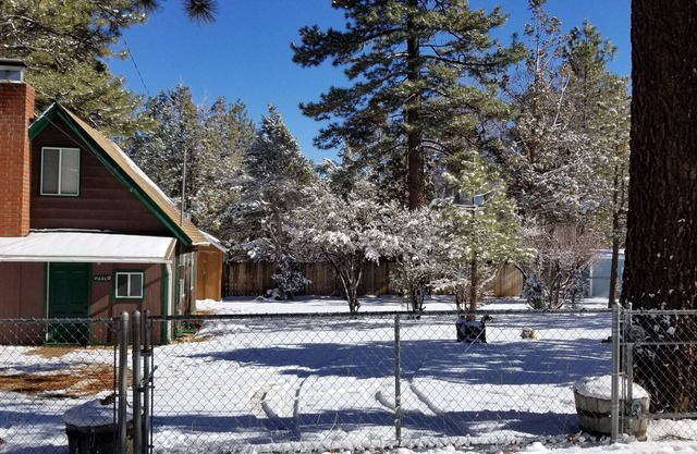 The Bear Escape - Private Cabin among Tall Trees