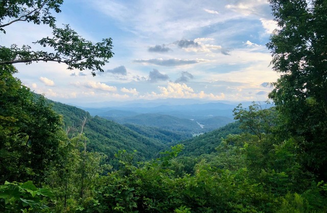 The Beautiful View!