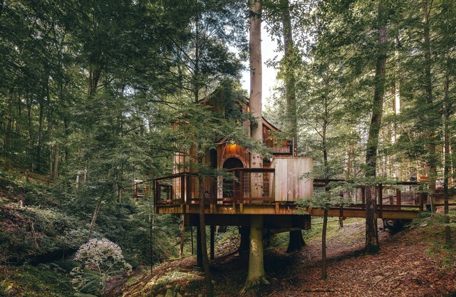 The Beech Treehouse | Hocking Hills