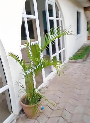 The Bougainville Apartments