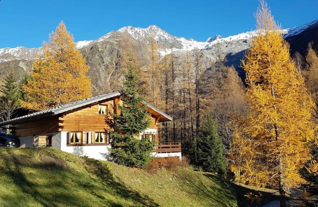 The "Carmiflore" Chalet - Cozy typical alpine cabin