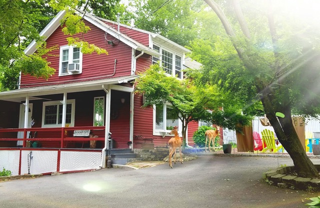 THE CARRIAGE HOUSE RETREAT!! EASY TO NYC..YOU'RE GOING TO LOVE IT HERE : )