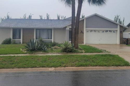 The Cozy Palms