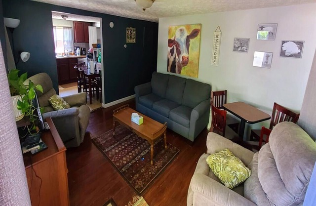 The Dairy Dream Farm Stay ~ It's Udderly Perfect!