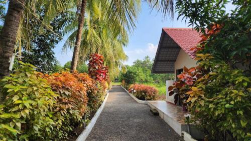 The Dreams of Kathiyawad