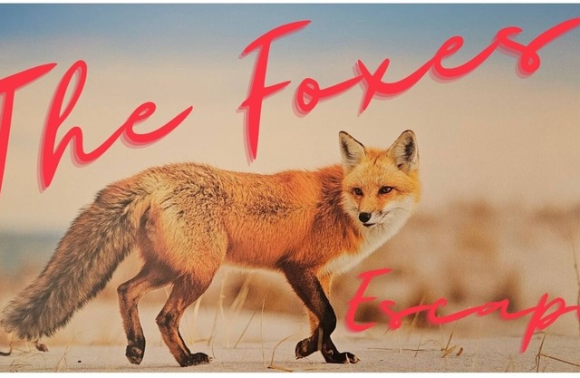 The Foxes Escape – Full House | Kalbarri | Sleeps 8 | Views & Wildlife