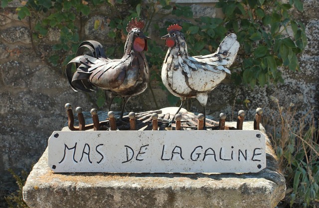 THE GALINE