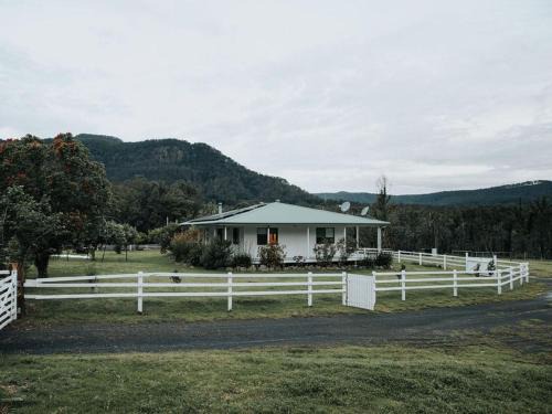 The Hamilton Kangaroo Valley