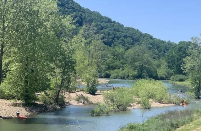 The Hangout on the Caddo River